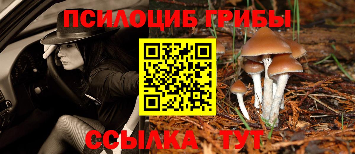 Псилоцибиновые грибы MAGIC MUSHROOMS Усинск